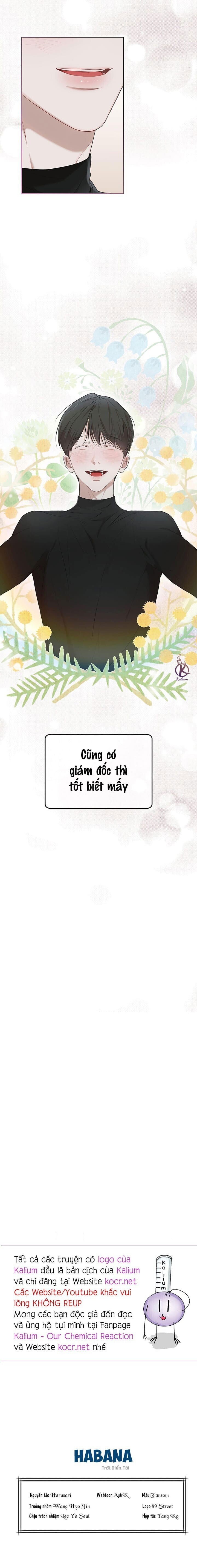 hình thái khởi sinh chapter 60 15