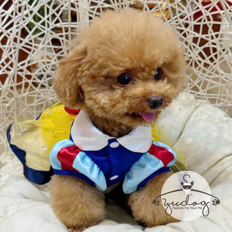 ĐẦM XÒE BẠCH TUYẾT CHO THÚ CƯNG CHÓ MÈO