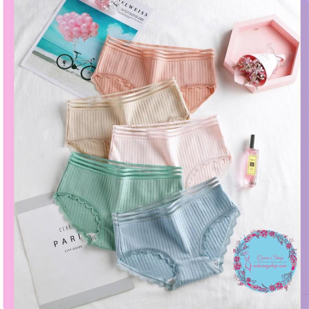 Quần Lót Cotton Tăm Cạp Viền Cao Cấp Quần lót nữ cotton co dãn mềm mịn DL108