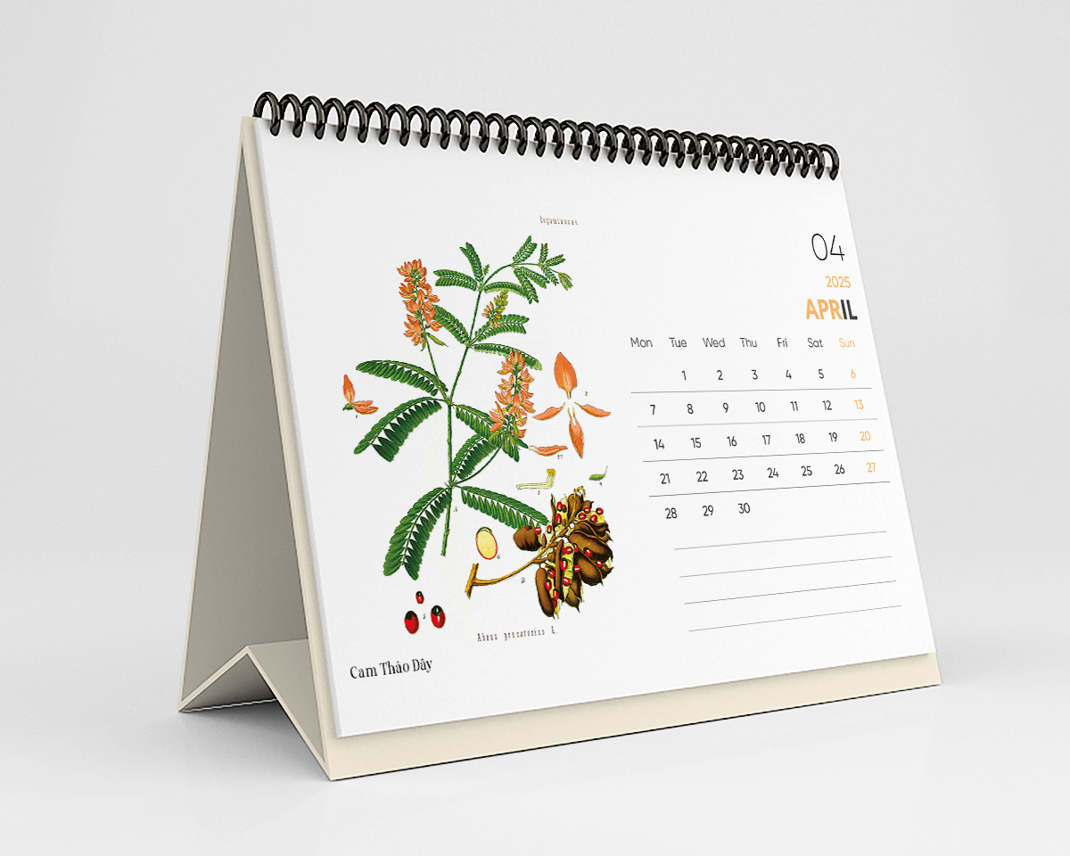 Lịch Bàn 2025 - Desk Calendar Nguyễn Trắc - Wild Flower and Herb