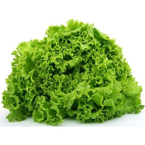 Hạt giống cải bẹ mào gà 20gr