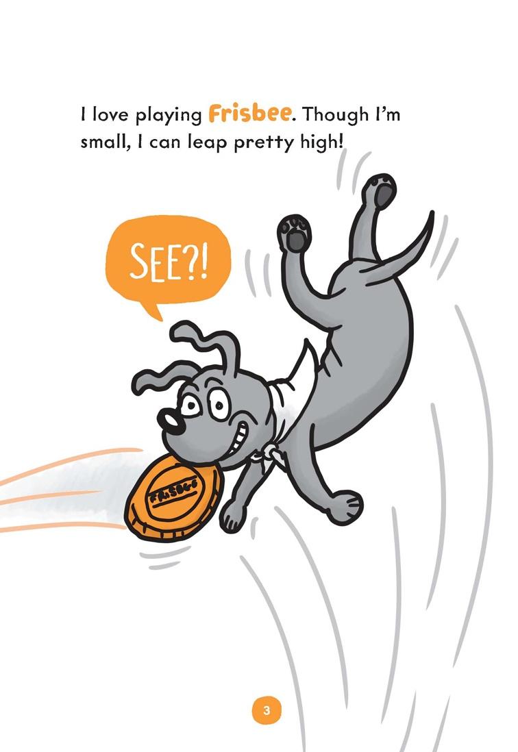 Sách ngoại văn: Hotdog! - Book 4 - Game Time! (With Storyplus)