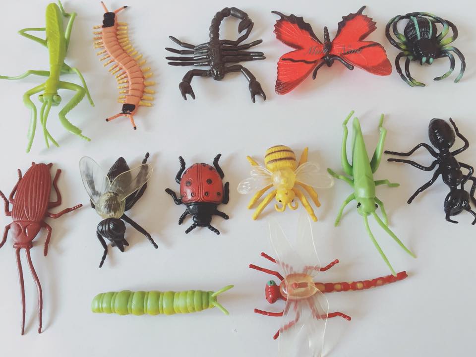 SET 13 MÔ HÌNH CÁC LOẠI CÔN TRÙNG