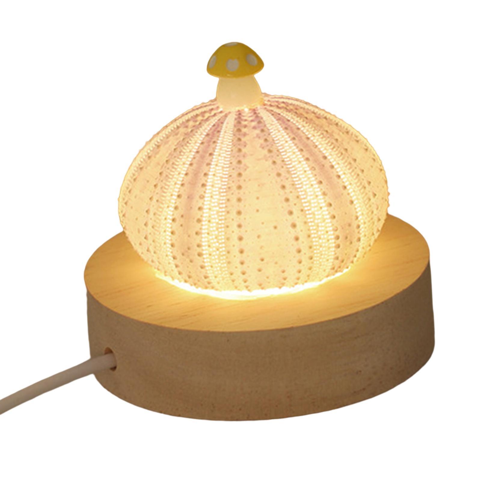 Decorative Table Lights Shell with LED Function Birthday Gift Mini Table Lamp