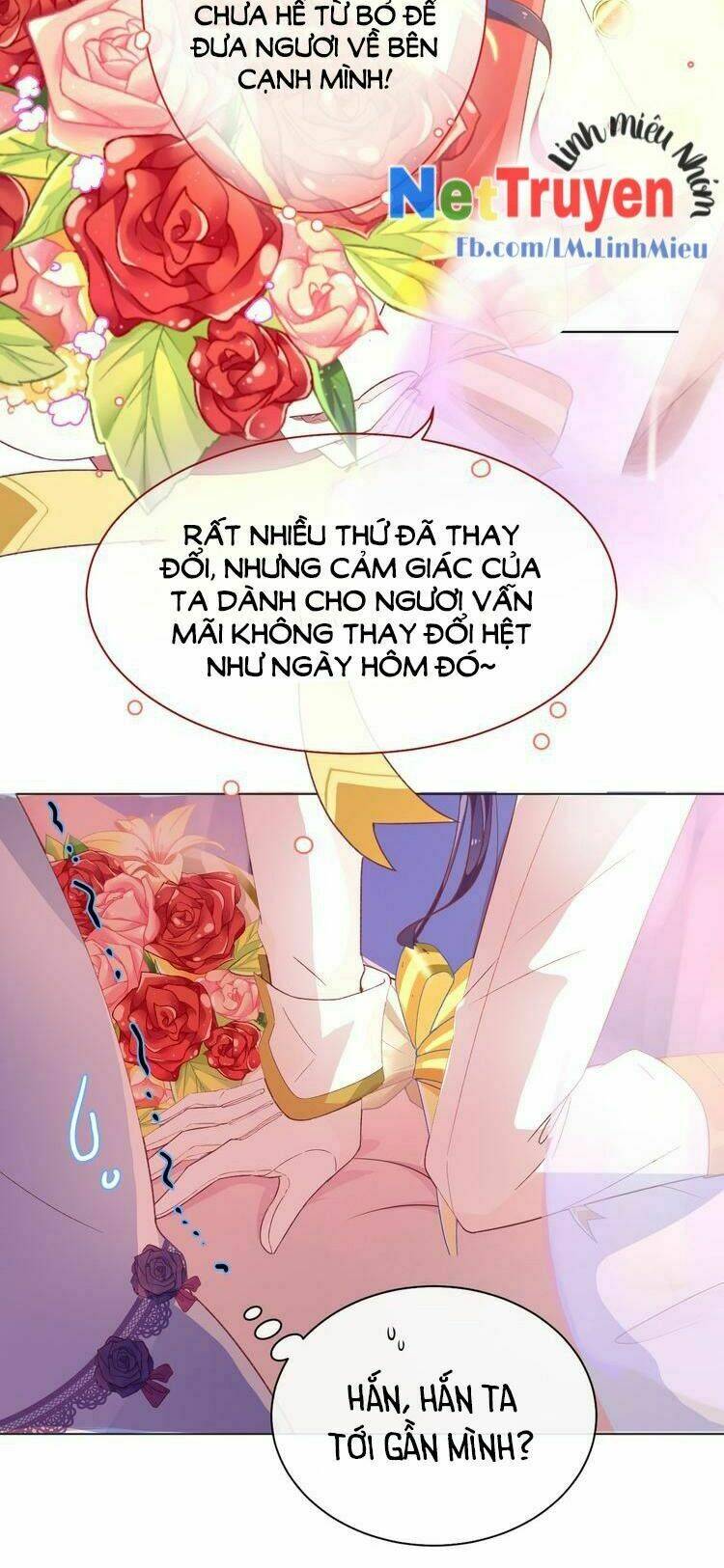 thuần bạch vận mệnh chi luân chapter 1 36