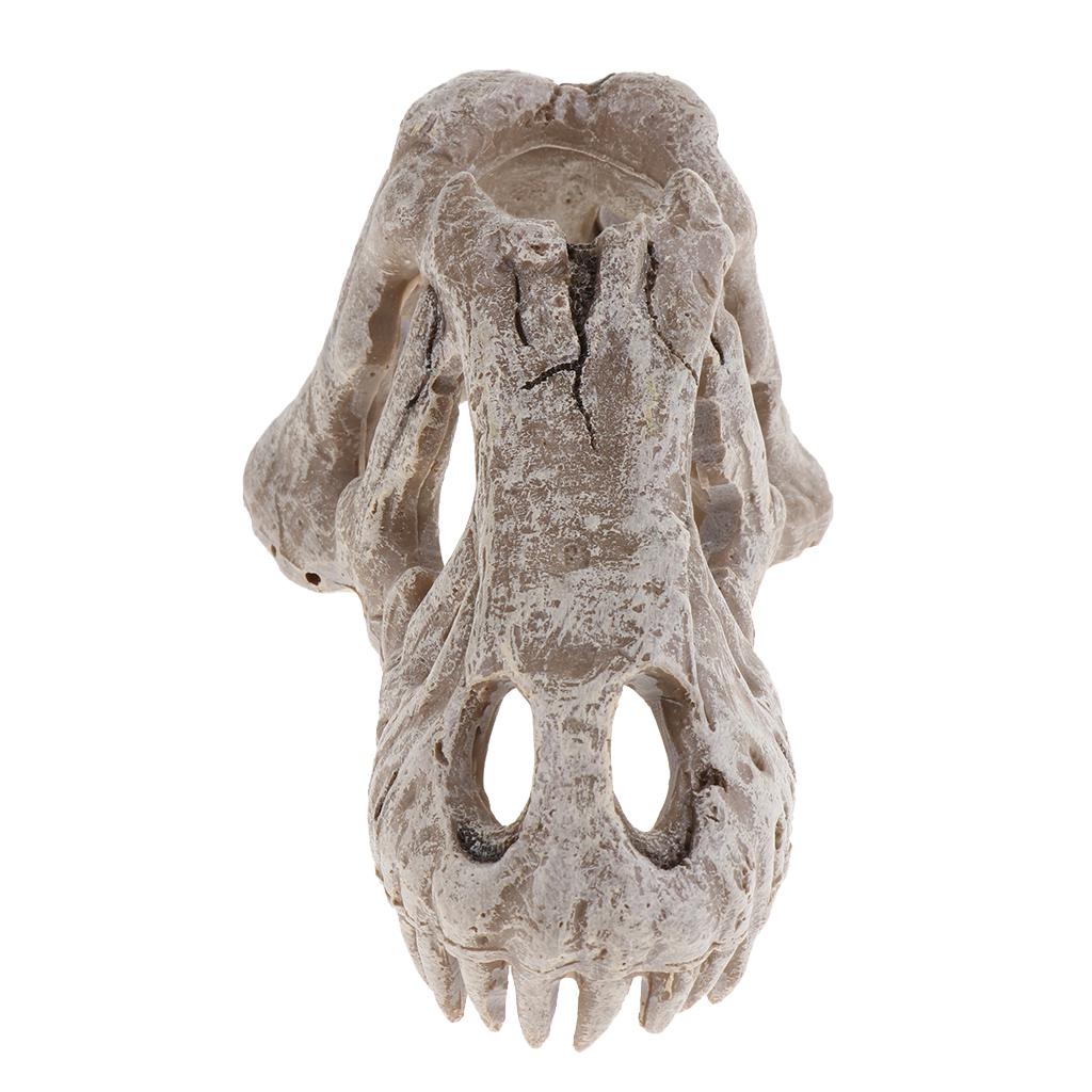 Reptile Vivarium Decoration Terrarium DIY Landscaping Skull Triceratops