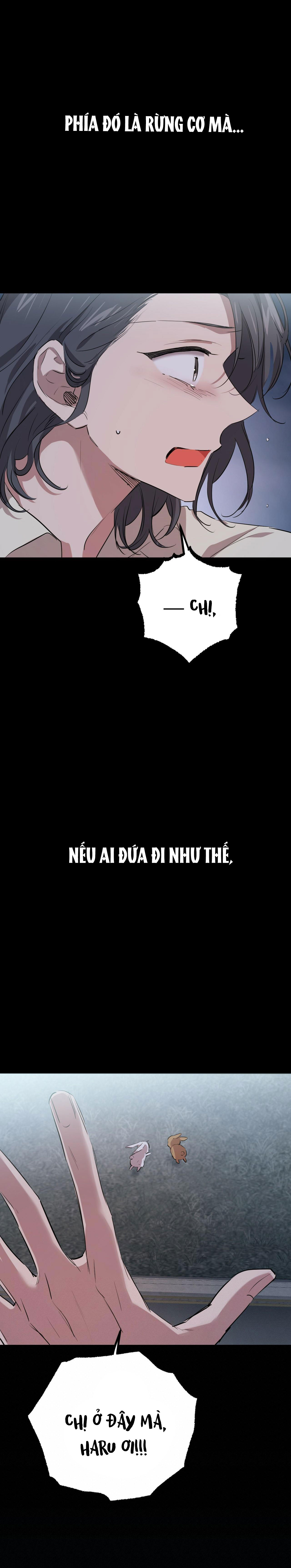 những chú thỏ của hapypy chapter 31 58