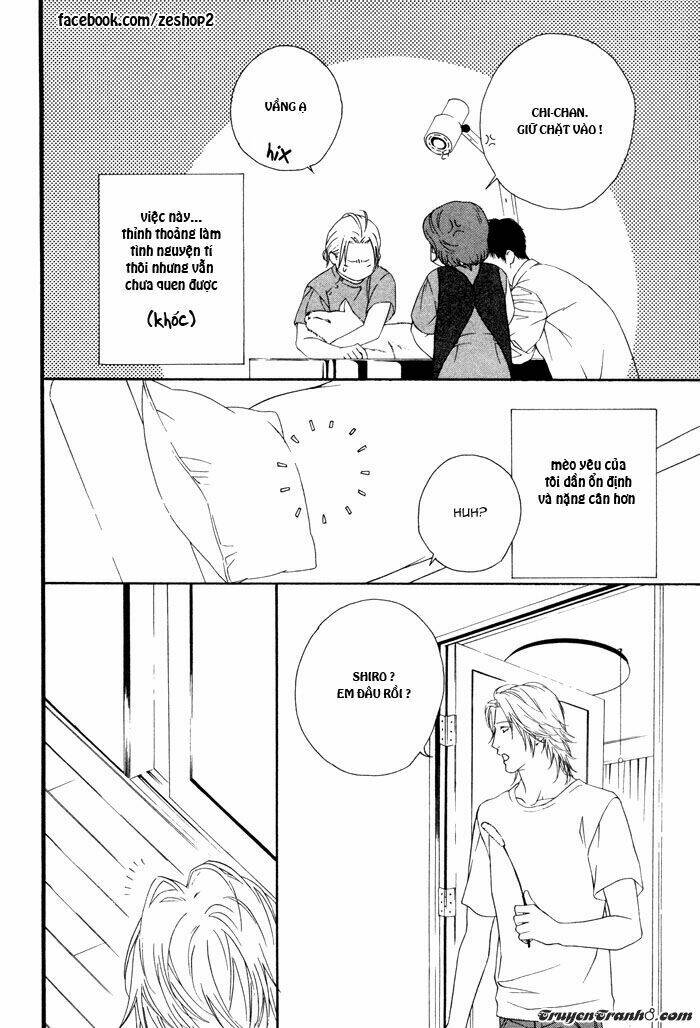 người nuôi mèo và bác sĩ thú y chapter 3 8