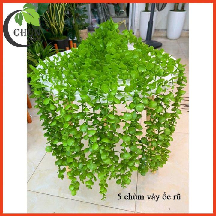 Chùm Lá Rũ Nhân Tạo 5 Nhánh Lá Dài 80cm Trang Trí Ban Công, Tường, Trang Trí Nhà Cửa, Sân Vườn, Lớp Học, Cửa Hàng