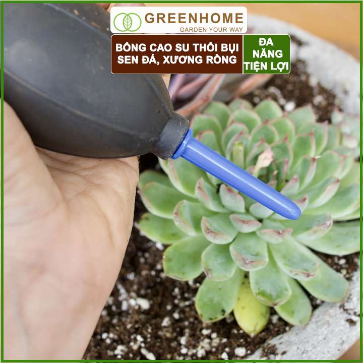 Bóng Cao Su Thổi Bụi GreenHome, D15xr5cm, Dụng Cụ Làm Vườn, Làm Sạch Cây Sen Đá, Bonsai, Màu Sắc Ngẫu Nhiên