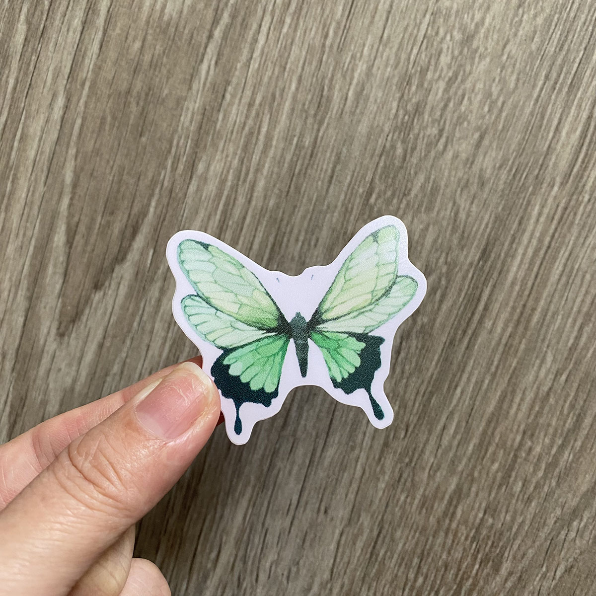 Sticker Mint Xanh Bạc Hà - Dán Trang Trí - Chất Liệu PVC Cán Màng Chất Lượng Cao Chống Nước, Chống Nắng, Không Bong Tróc Phai Màu