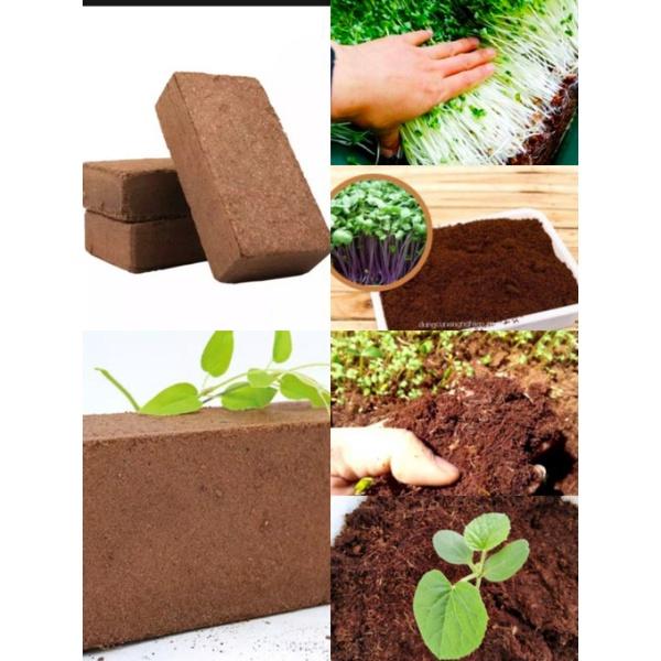 Đất Nén Hữu Cơ - Xơ Dừa - Chuyên Trồng Rau Mầm ,Rau Sạch ,Hoa, Cây Cảnh ,Cải Tạo Đất..