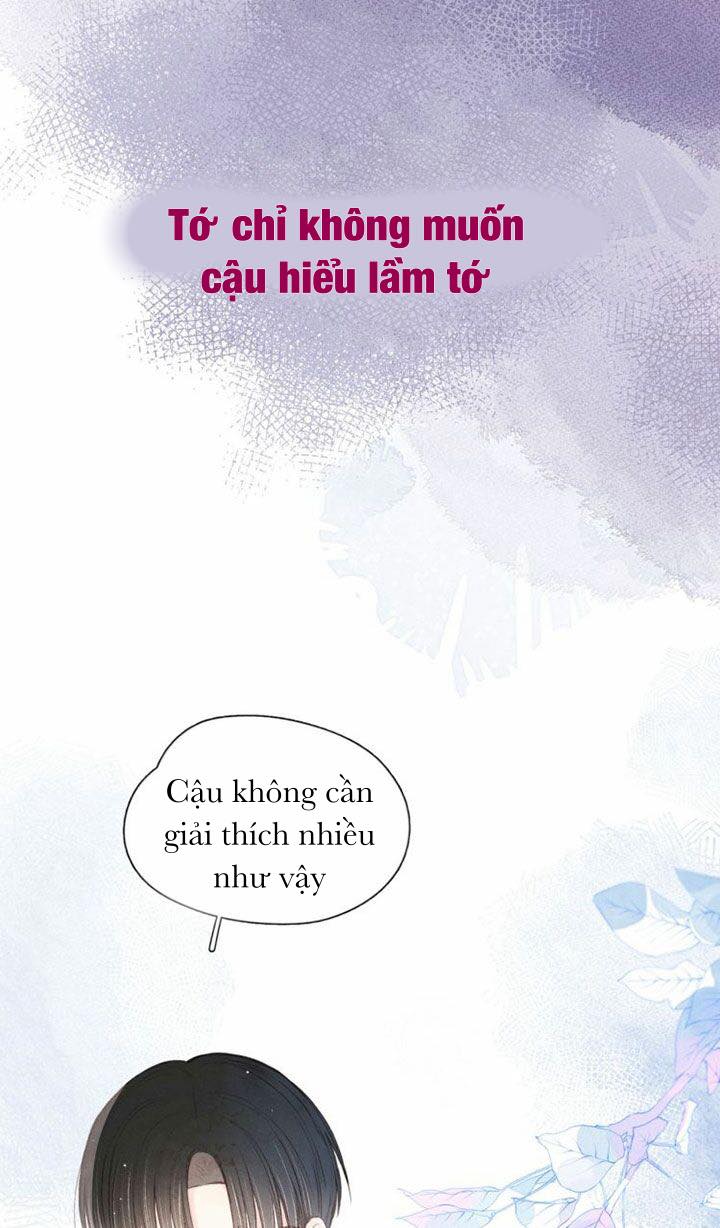 nỗi buồn của hoa cẩm tú cầu chapter 24 28