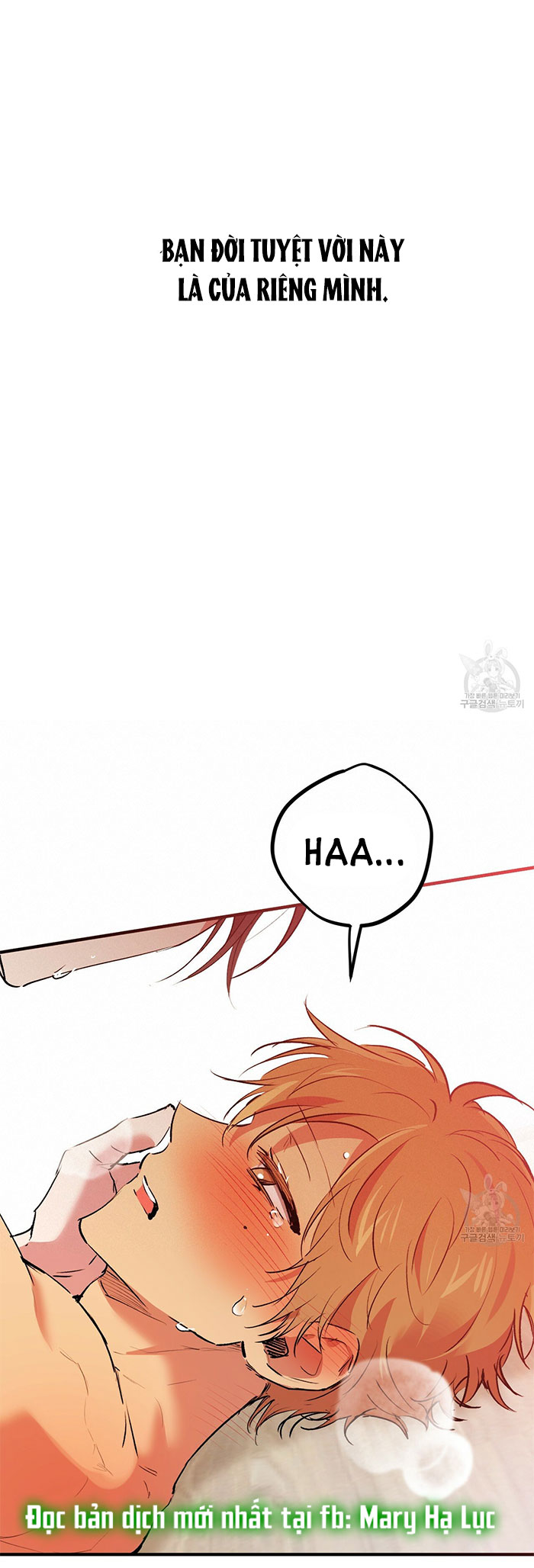 những chú thỏ của hapypy chapter 43 69