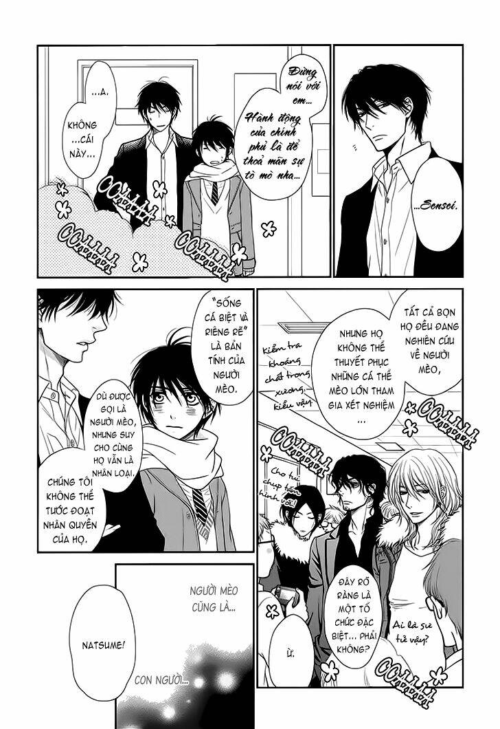 nekoka danshi no shitsukekata chapter 13 5