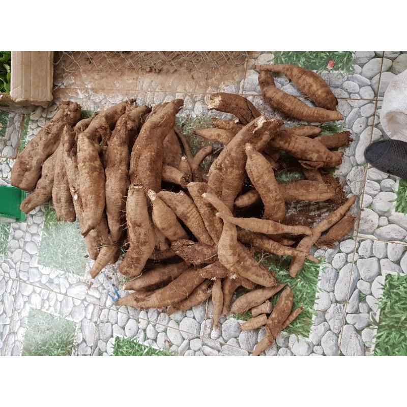 1KG BỘT SẮN DÂY TA NGUYÊN CHẤT NHÀ LÀM, cam kết hàng nguyên chất bột sắn dây thơm ngon đến hạt cuối cùng