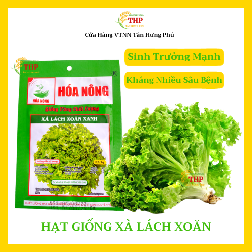 Hạt giống Xà Lách Xoăn Xanh | Hạt Giống | gói 3gr