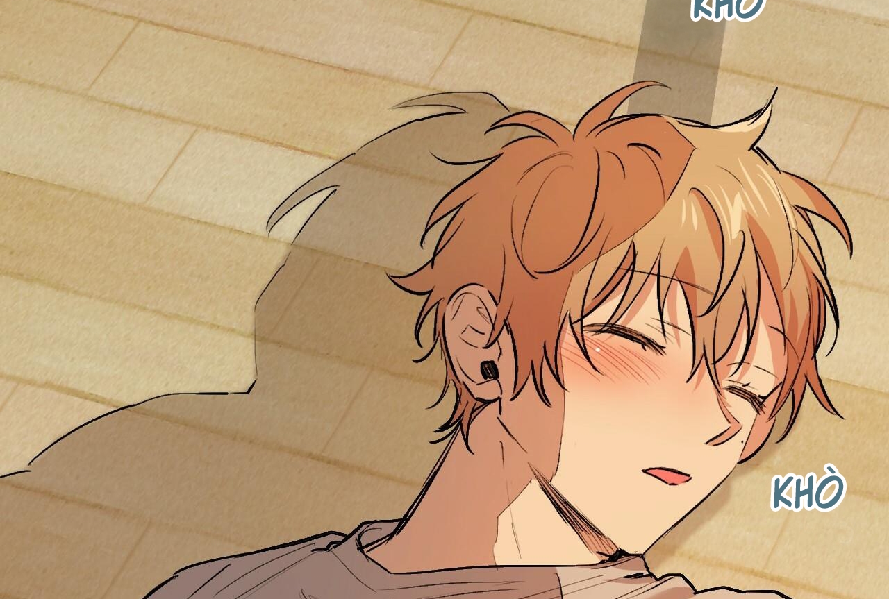 đàn thỏ của habibi chapter 32 201