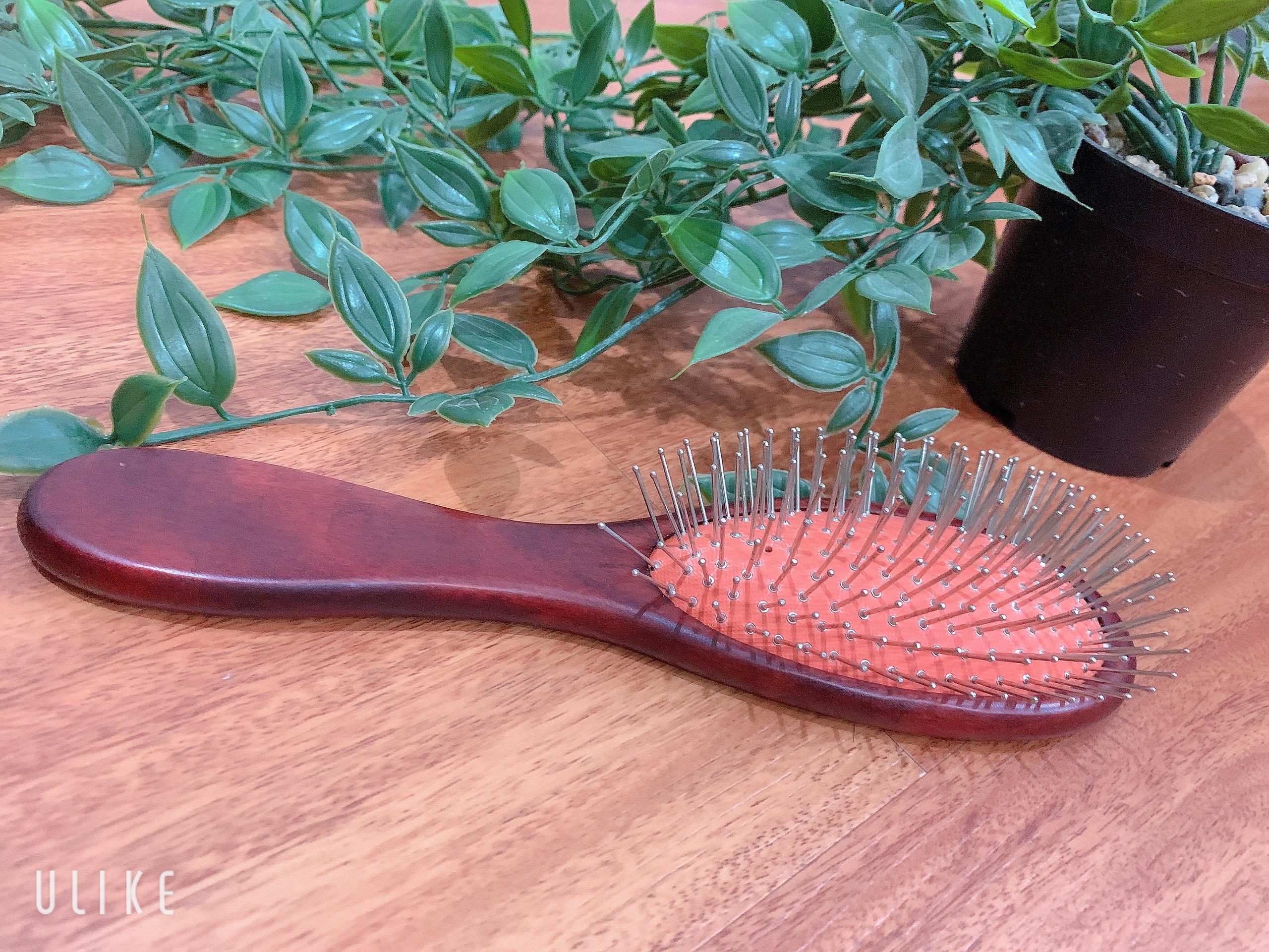 Lược massage da đầu, lược chải gỡ rối, chải tóc ướt tiện dụng Thái Lan