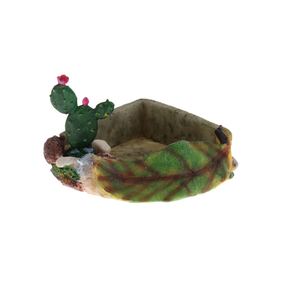 Reptile Food Water Dish Vivarium Decoration