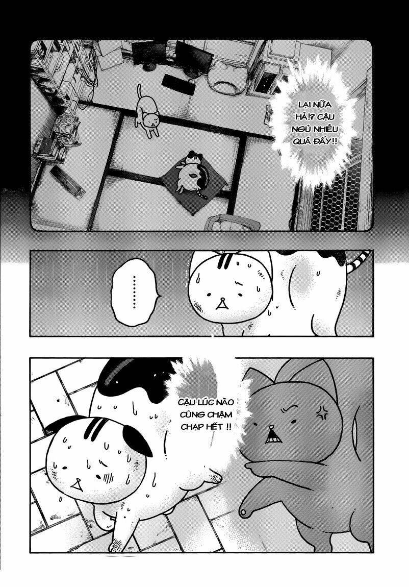 donyatsu chapter 39 9