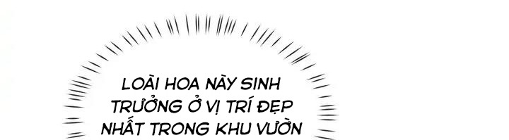 hai người thừa kế chapter 44 154