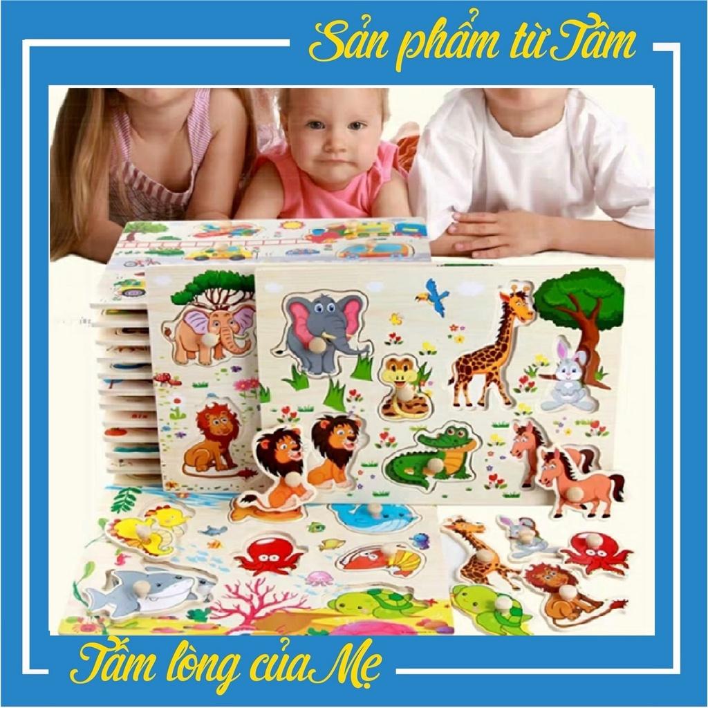 Bảng Núm Gỗ Ghép Hình Thông Minh HÀNG LOẠI 1 Dày Dặn