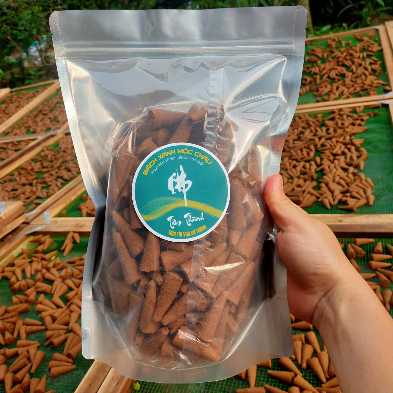 Nụ Hương Bách_Xanh_Nụ Ngọc_Am_Đậm Tinh Dầu_Cực Thơm, Khói Ngược_Cam Kết 100% Không Hóa Chất_Nụ Gỗ Bách_Xanh