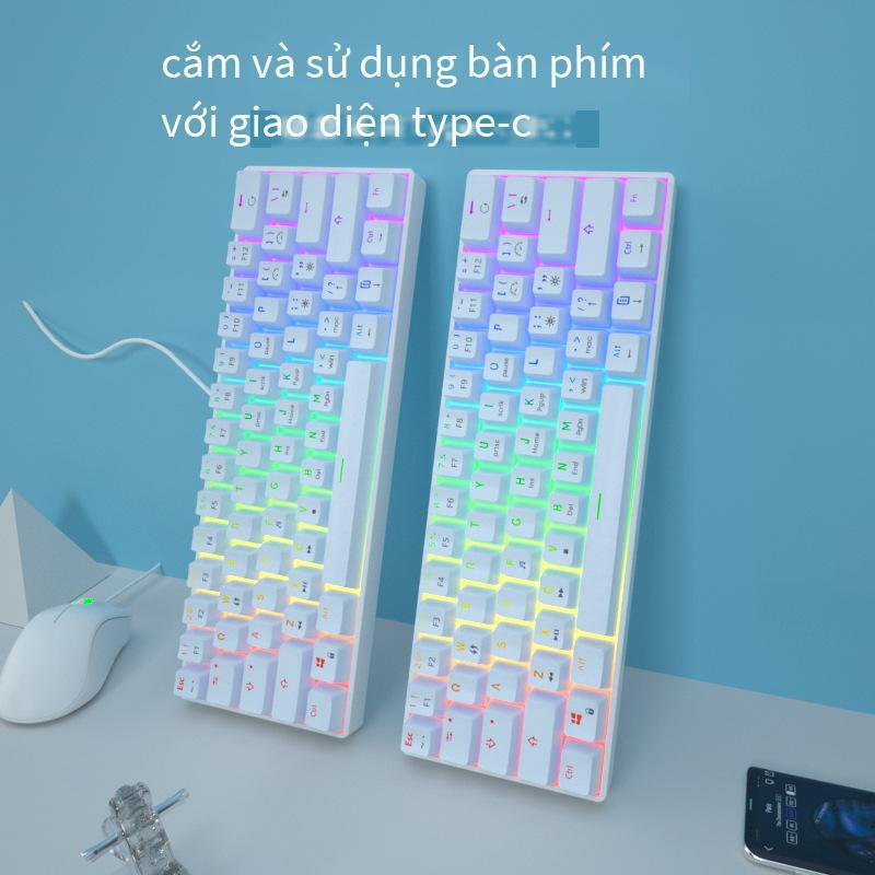 Khuyến mại áp dụng cho Bàn phím cơ 61 phím có dây không dây bluetooth ba chế độ trục xanh đỏ trục đen trà trục máy tính bảng iPad mini 68