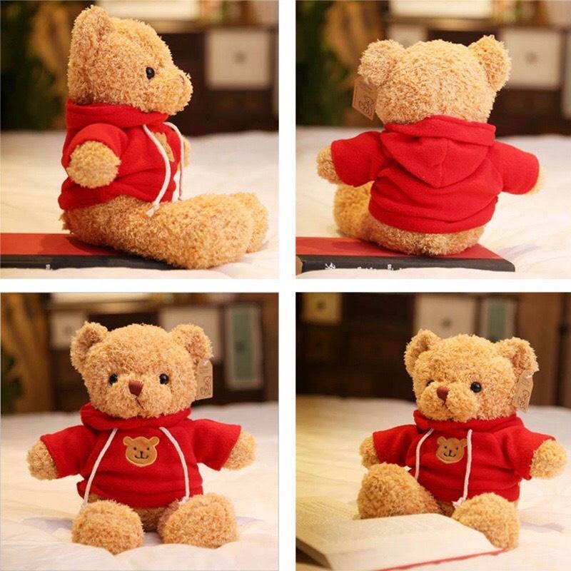 Teddy áo hoodie lông xù cao cấp