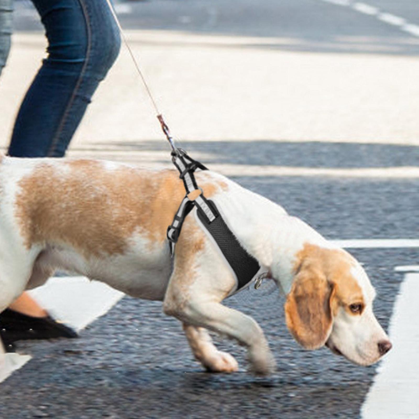 Dog Vest Harness Reflective Anti Escape Easy Control Adjustable for Kitty