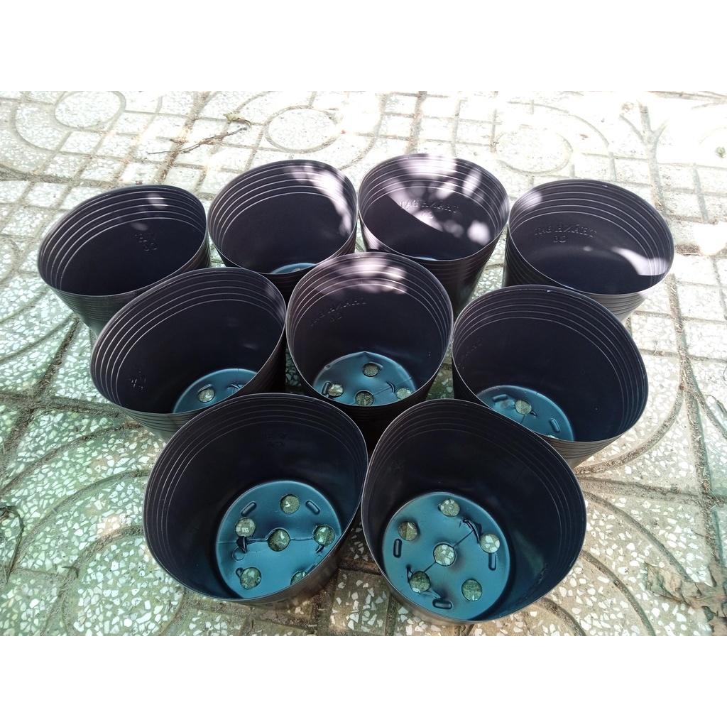 Chậu nhựa đen C6 - Nhựa bóng, dẻo, bền
