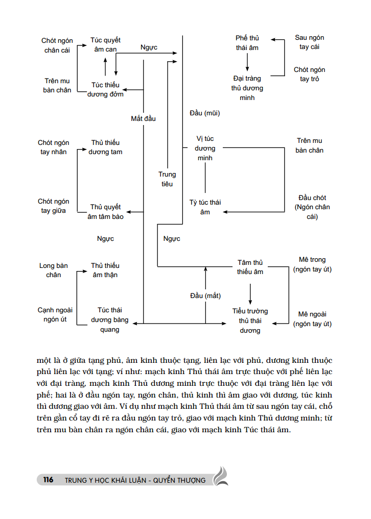 Sách Trung Y Học Khái Luận (Quyển Thượng)