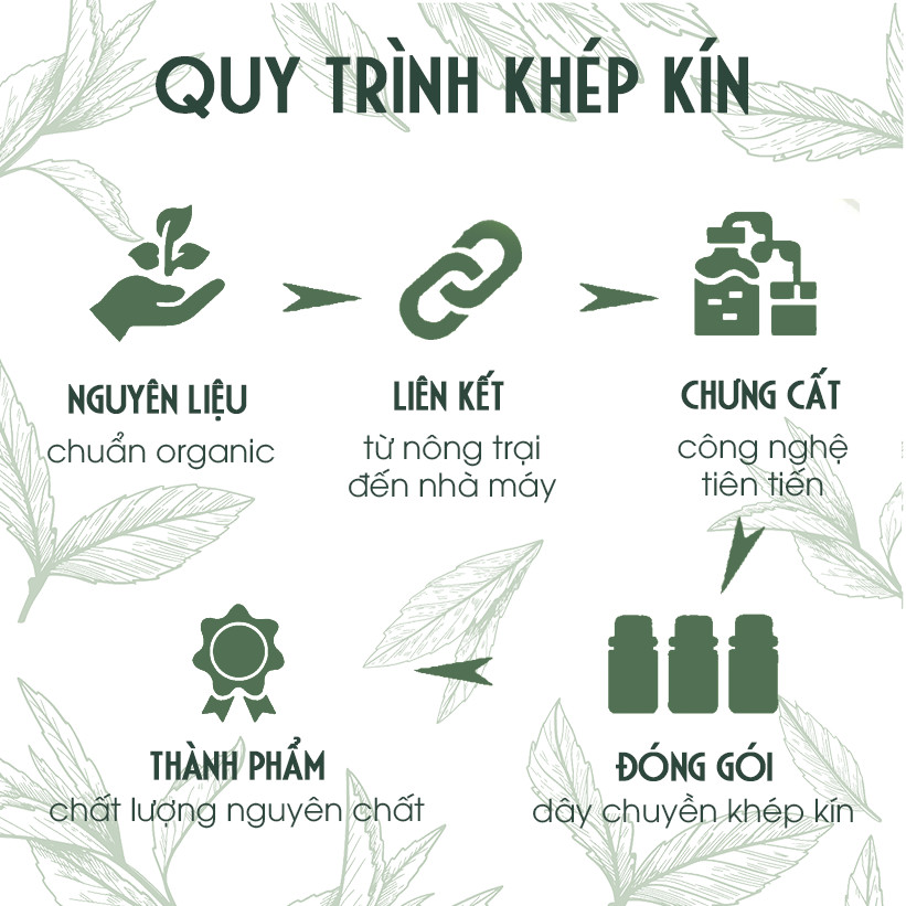 Dung Dịch Rửa Tay Khô Kháng Khuẩn Hương Trà Xanh 50ml