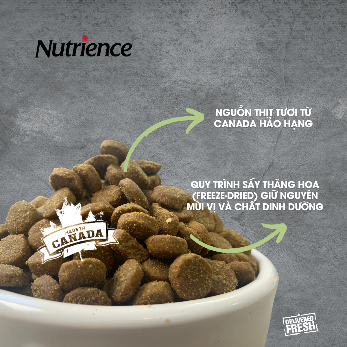Thức Ăn Cho Chó Con Nutrience Infusion Bao 500g Thịt Gà, Rau Củ Quả Và Trái Cây Tự Nhiên