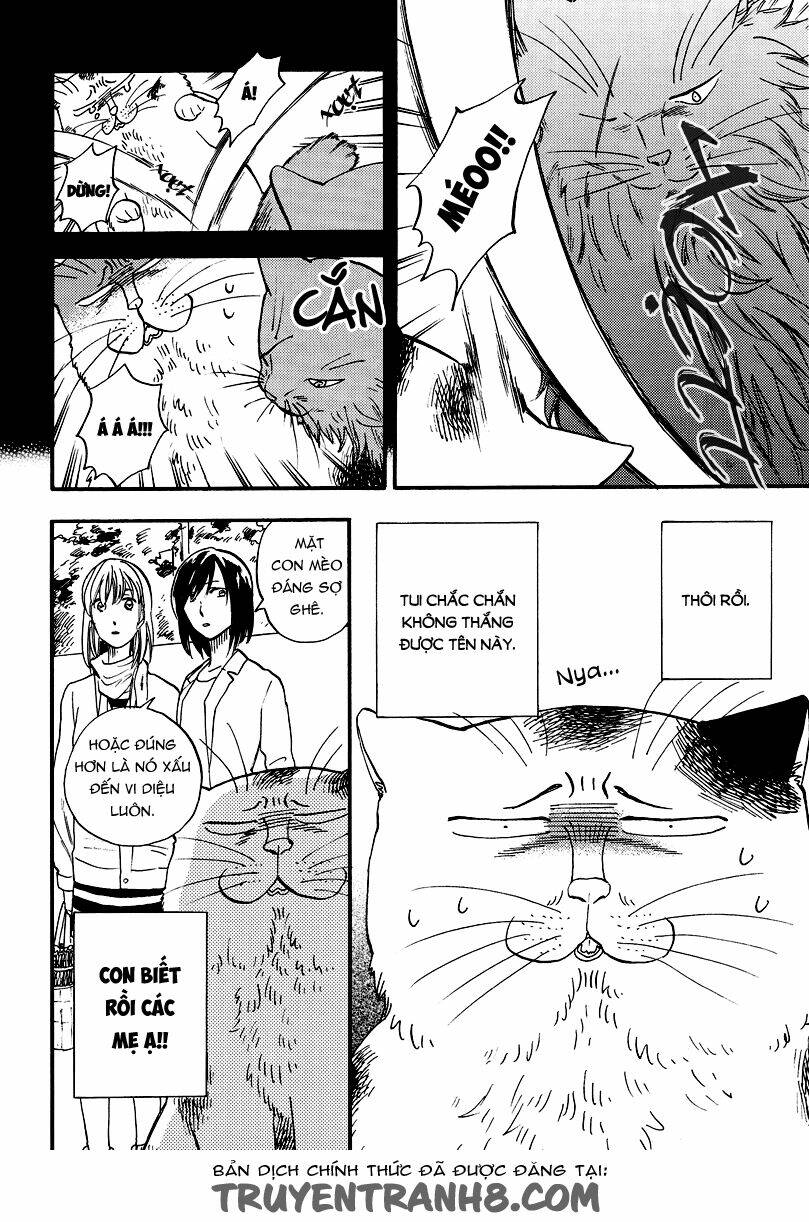 tui là busamen! chapter 5 5