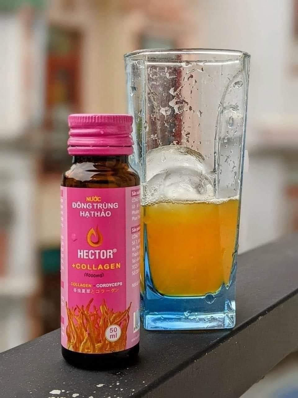Nước Đông Trùng Hạ Thảo Hector Collagen - Hàng chính hãng