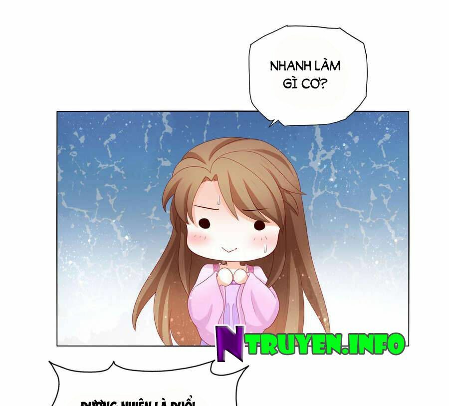 nam phi nữ tướng chapter 19 5