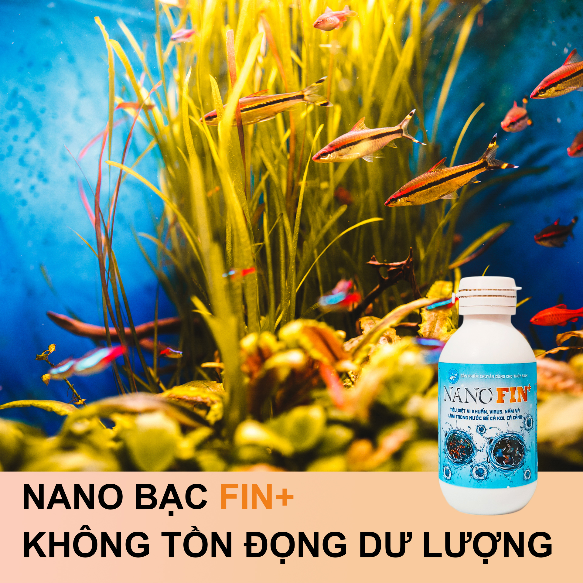 Nano bạc thủy sinh Fin+ Làm sạch bể cá, diệt khuẩn phòng bệnh cá Cảnh, cá Koi