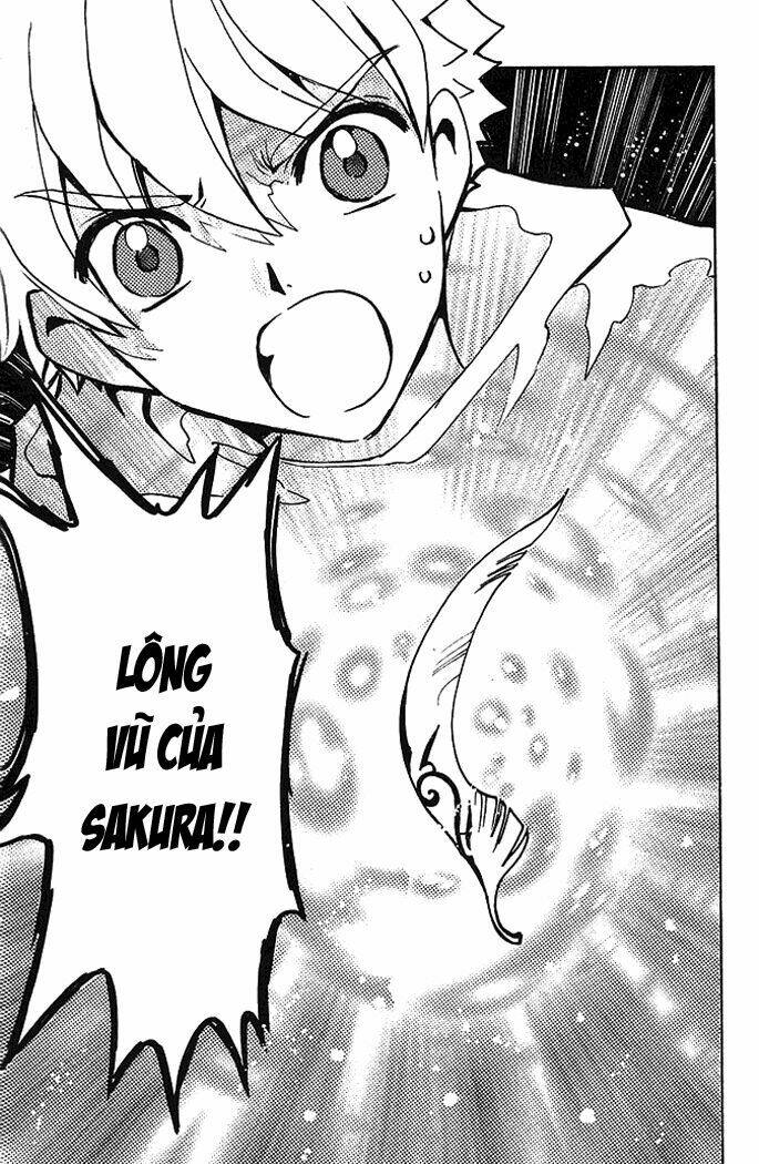 huyền thoại đôi cánh chapter 66 7