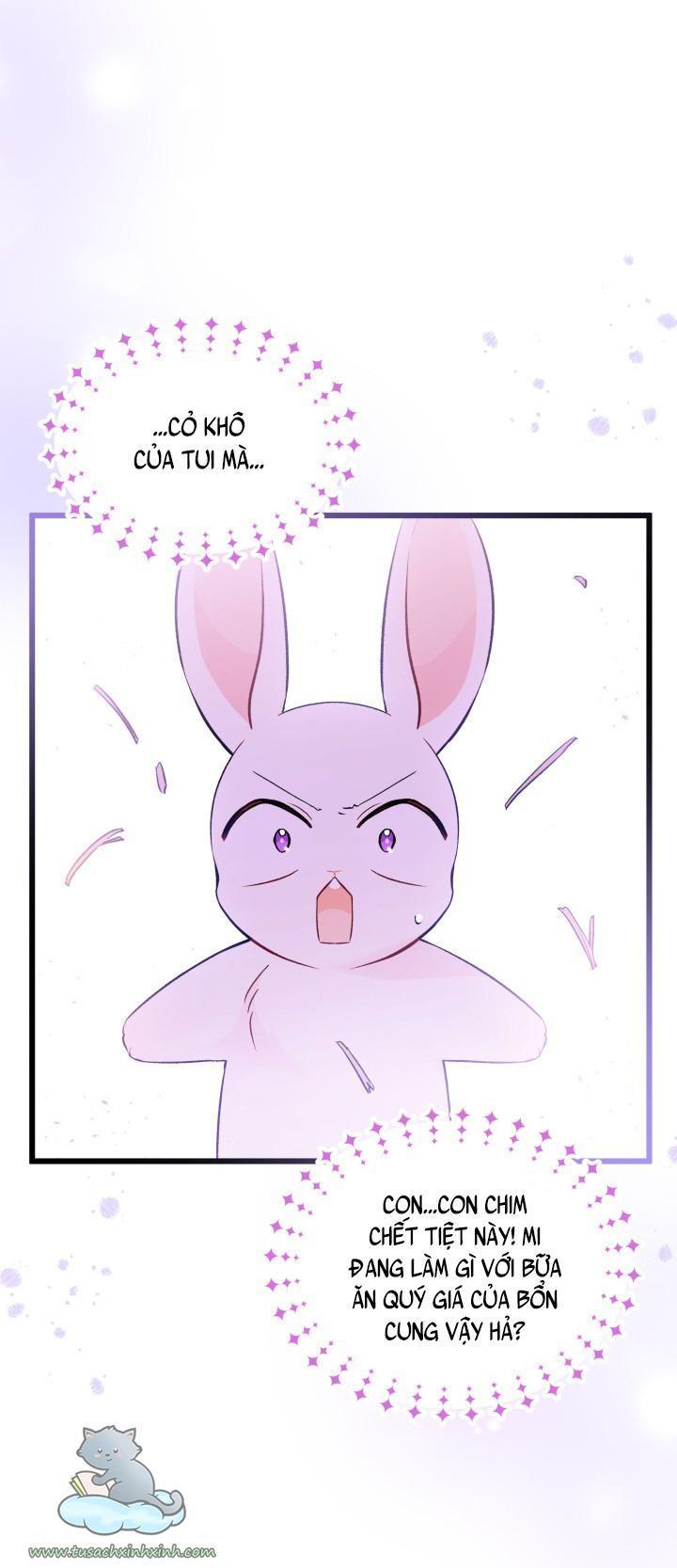 quan hệ cộng sinh giữa báo đen và thỏ trắng chapter 55 4