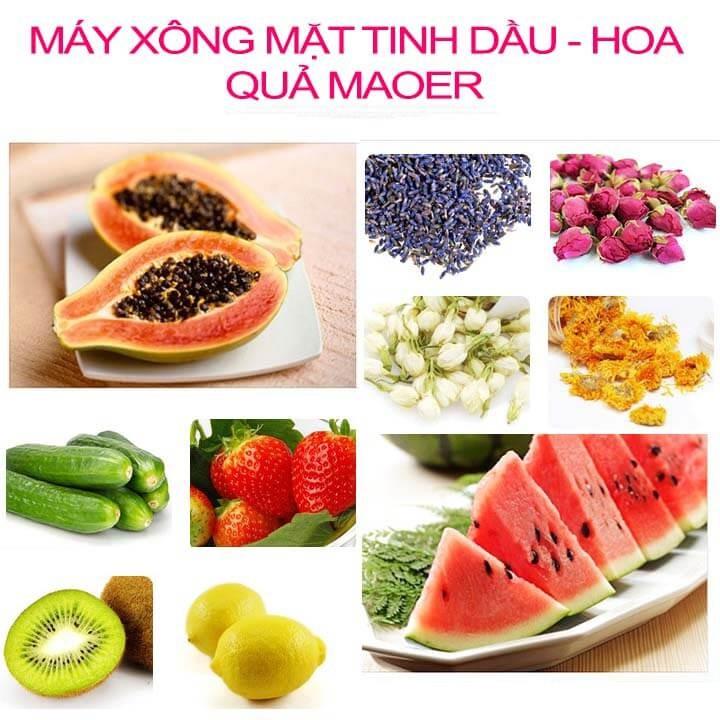 Máy Xông Mặt, Máy Xông Hơi Mặt Maoer Xông Đa Năng Các Loại Tinh Dầu Hoa Quả Thảo Dược