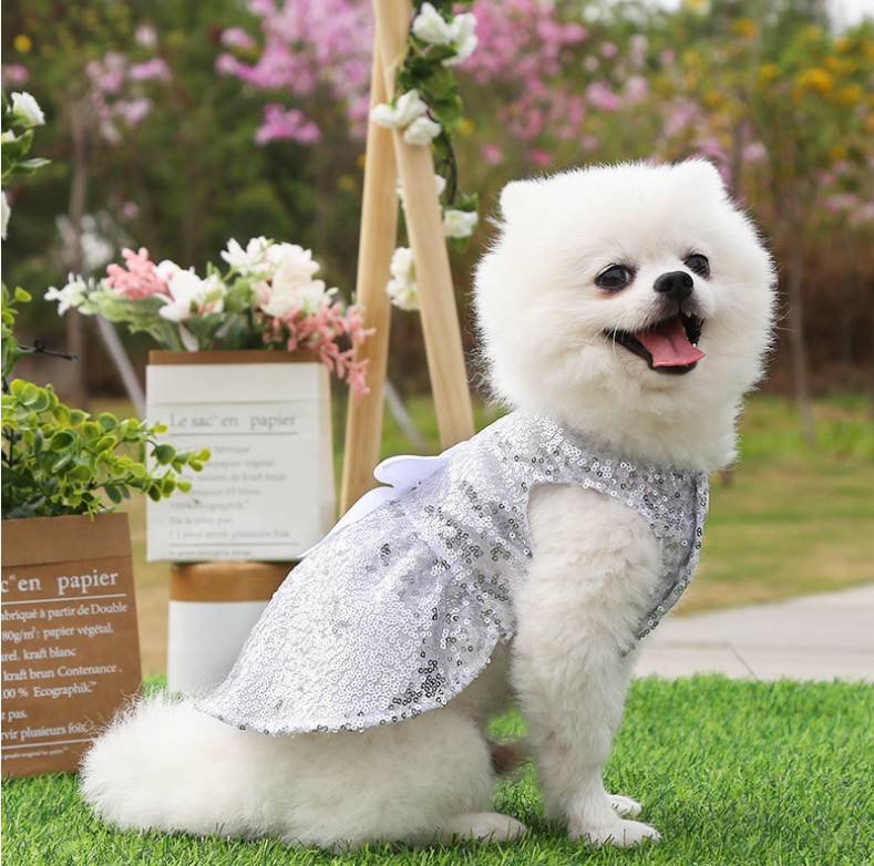 Váy Đầm Đi Tiệc Cho Chó và Mèo