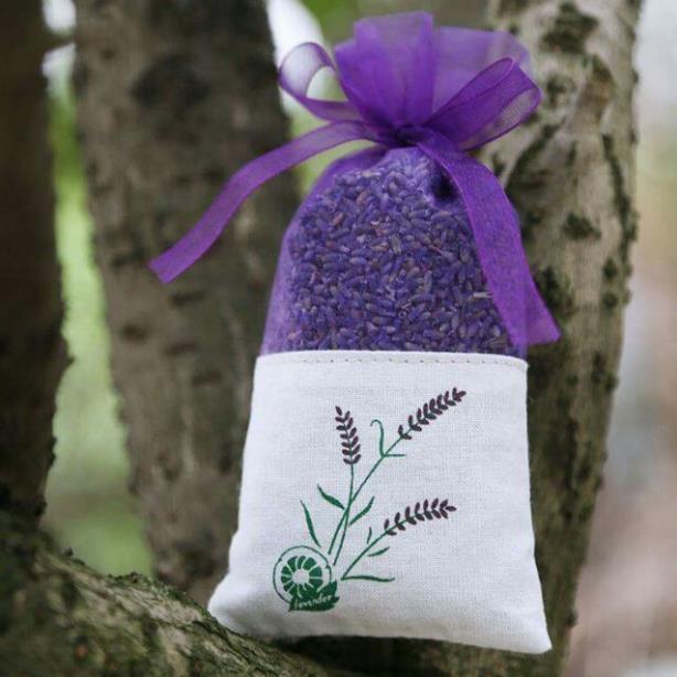 Túi Thơm Nụ Hoa Lavender Khô - Hàng Nhập Khẩu