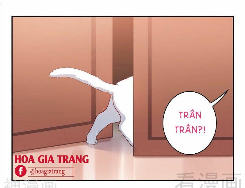 phục thù thiếu gia tiểu điềm thê chapter 58 22