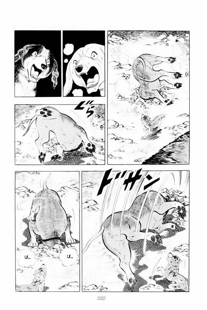 chú chó có nghĩa - ginga nagareboshi gin chapter 29.2 19