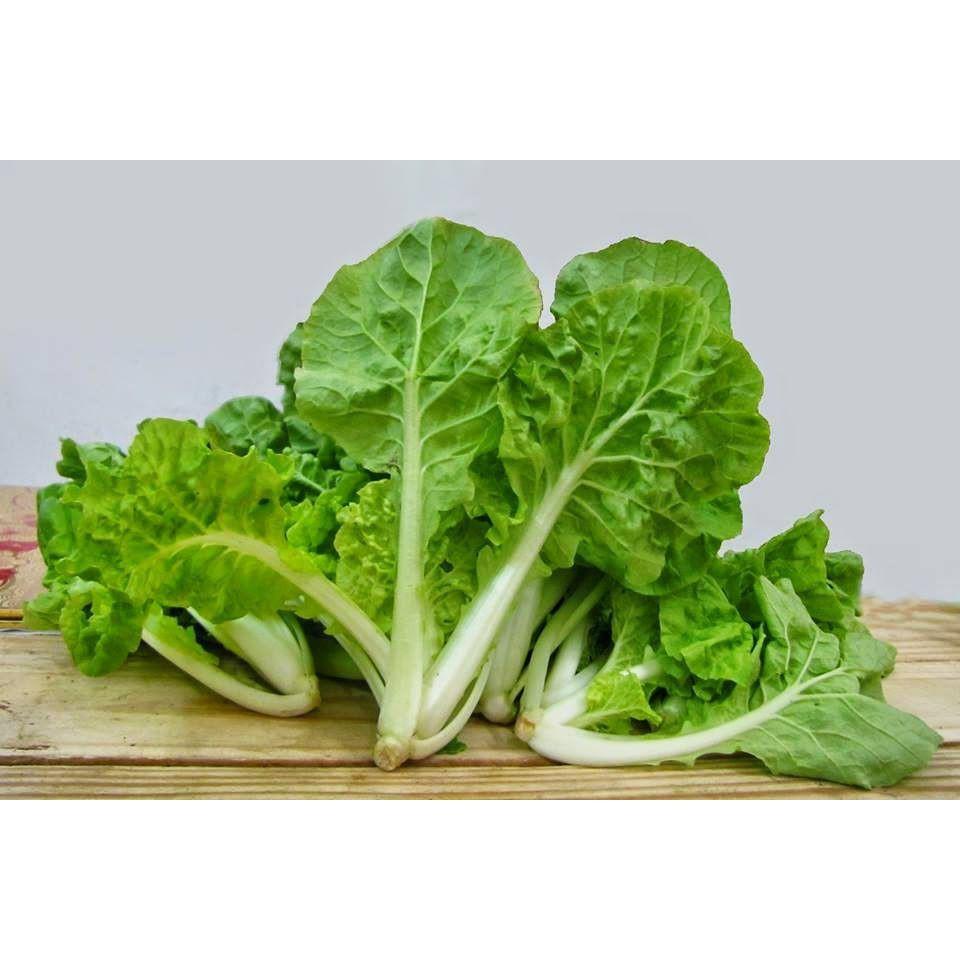 Gói 10g hạt giống cải bẹ dún