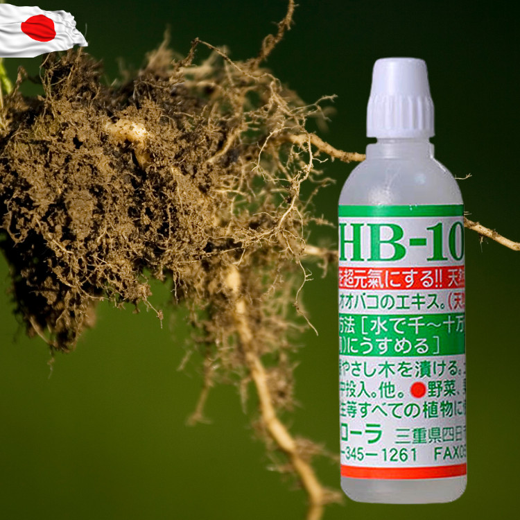 Thuốc kích rể HB-101 NHẬT BẢN giúp tăng trưởng cây xanh phục hồi cây suy yếu-Hàng có tem chống giả