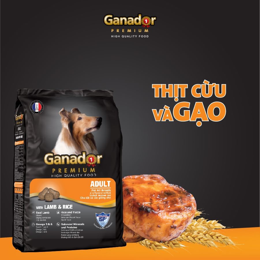 COMBO 2 gói thức ăn Ganador cho trưởng thành vị thịt cừu & gạo - Lamb & Rice gói 1.5kg