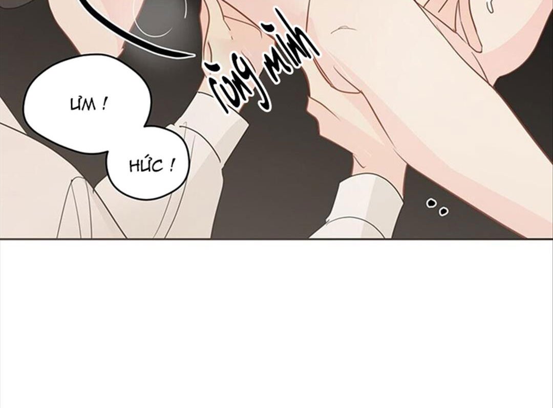 chuyện quái gì với giấc mơ đó vậy chapter 37 12